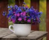 2959342-bouquet-of-wild-flowers-in-a-large-ceramic-cup-on-wooden-table.jpg