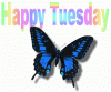 tuesday_050.gif