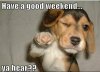 127878-Have-A-Good-Weekend.jpg