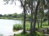 Bay Area Park Backside to Right trees water small.jpg