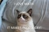 cat-meme-quote-funny-humor-grumpy-computer-wallpaper-3.jpg