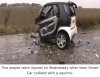 smartcar-squirrel.jpg