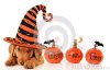 halloween-puppy-cute-wearing-witch-hat-33943353.jpg