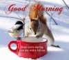 153315-Winter-Good-Morning.jpg