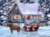 horse-winter-christmas-wallpapers-1024x768.jpg