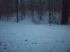 First March 11th snow fall 2017 289.JPG