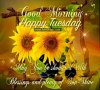 267846-Good-Morning-Happy-Tuesday.jpg