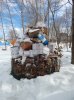 compost-032117.jpg