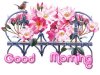 good-morning-655.jpg