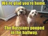 russians-pooped.jpg