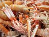 fnd_Langoustines-Thinkstock_s4x3.jpg