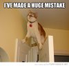 funny-pictures-made-a-huge-mistake-cat-balancing-doors.jpg