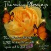 167770-Thursday-Blessings.jpg