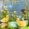 165001-Good-Morning-Have-A-Blessed-Day.jpg