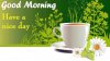 Good-Morning-Have-A-Nice-Day-Coffee-Green-HD-Wallpaper.jpg