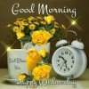 9e32cbb5a89d8cdff6fa3d4a0fb1a382--good-morning-cards-good-morning-wednesday.jpg