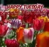 Happy-Tuesday-Good-Morning-Wish-600x586.jpg