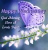 Happy-wednesday-good-Morning-have-a-lovely-day.jpg