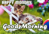 205573-Happy-Monday-Good-Morning-Cute-Quote.png