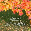 3f7ed062dafc9f4d84e37a406298f72a--hello-september-quotes-september-born.jpg