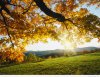 autumn-morning-wallpaper.jpg