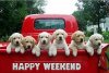 Happy-Weekend-Images-10.jpg