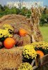 75c6f093f9aa981a67368f01164d4ac3--harvest-decorations-farm-decorations.jpg