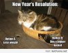 cb753951e2dfd720e320d348aa561e25--new-years-resolution-funny-funny-new-year.jpg