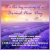 186375-It-s-The-Beginning-Of-A-New-Day.jpg