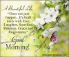 goodmorning-card126.jpg