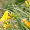 Happy-Monday-01.jpg