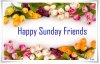 Happy-Sunday-Friends-Picture.jpg