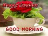 245119-Happy-Tuesday-Good-Morning-Image-Quote.jpg