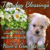 250132-Tuesday-Blessings-Have-A-Great-Week.jpg