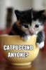 catpuccino.jpg