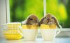 Cute-Baby-Bunnies-Wallpaper2.jpg