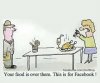 21-facebook-food-cartoon.jpg