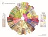 Tasters_Flavor_Wheel800.jpg