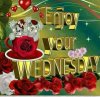 722ec79d29722fa36c016acce4bc406c--wednesday-morning-happy-wednesday.jpg