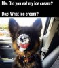 whaticecream.jpg