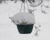 Snow on basket.jpg