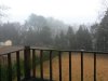 foggy1142019.jpg