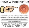 Male_nipple.jpeg