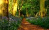 164785217-spring-wallpapers.jpg