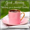 159292-Good-Morning-Wishing-You-A-Beautiful-Sunday.jpg