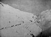 white pass March 1898.jpg