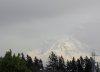 Mount Ranier.jpg