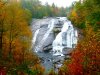 DuPont-State-Forest.jpg