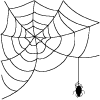 spiderweb1.png