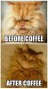 #Coffee_ Coffee Lovers know this is about right….jpeg